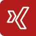 Xing Icon